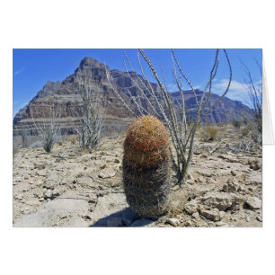 Fleur de canyon grand