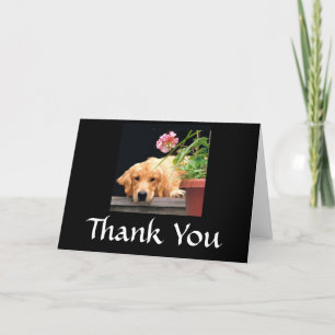 Fleur de Carte de remerciements Golden Retriever
