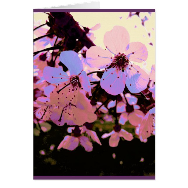 Fleur de cerisier rose (Devant)