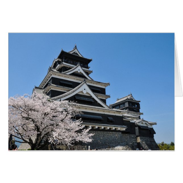 Fleur de cerisiers au Japon (Devant horizontal)