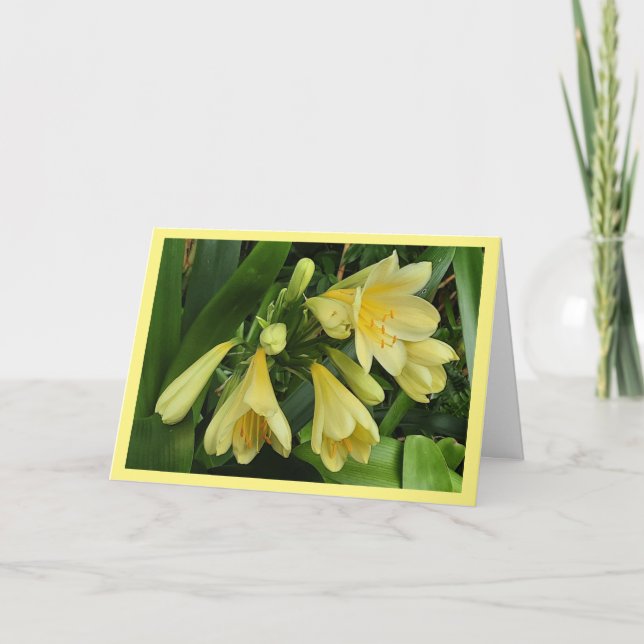 Fleur de clivea jaune avec carte de bordure jaune (Devant)