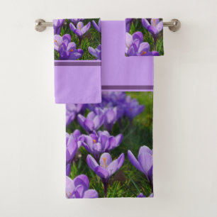 Fleur de crocus pourpre