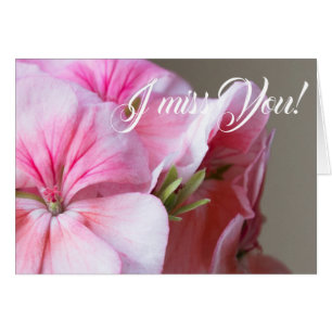 Fleur de géranium rose