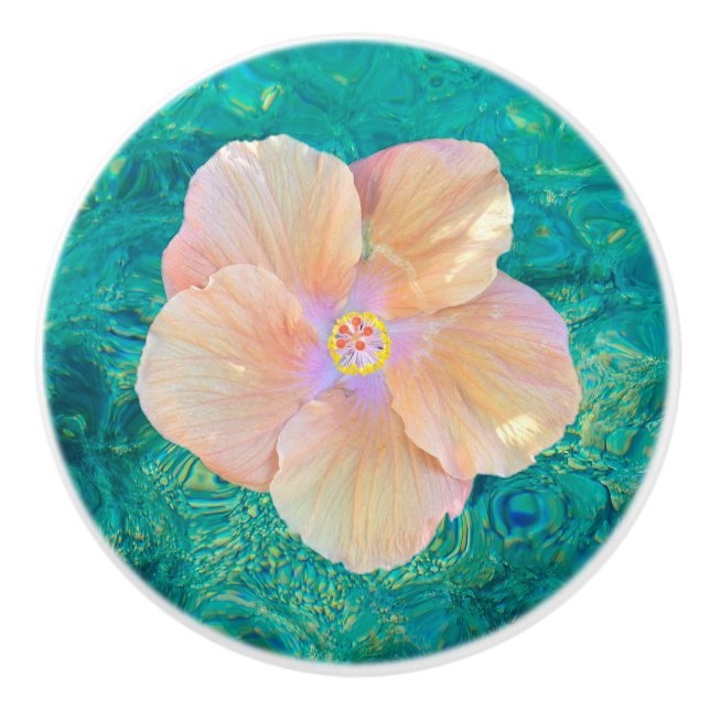 Fleur de ketmie sur le bouton en céramique de (Devant)