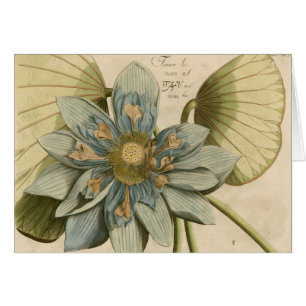 Fleur de Lotus Bleu sur Arrière - plan Tan avec éc
