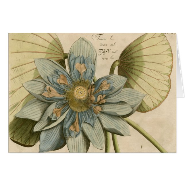 Fleur de Lotus Bleu sur Arrière - plan Tan avec éc (Devant horizontal)