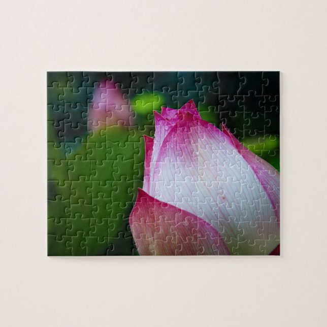 Fleur de lotus - Puzzles (Horizontal)