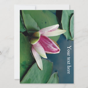 Fleur de Lotus Rose Invitation photo