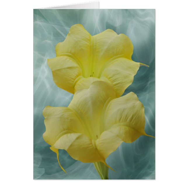 Fleur de lune jaune (Devant)