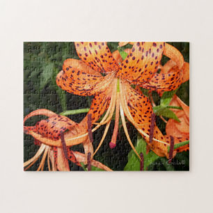 Fleur de lys tigré orange Puzzle