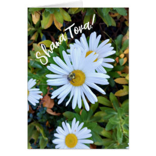 Fleur de marguerite blanche avec carte Hashanah Be