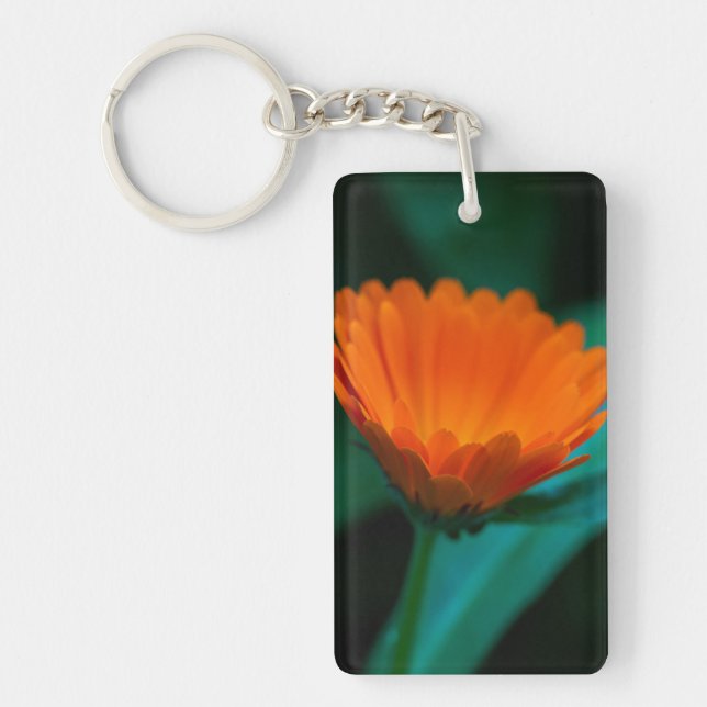 Fleur de marguerite orange (Devant)