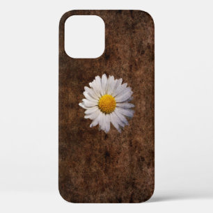 Fleur de marguerite sur un Coque arrière - plan br