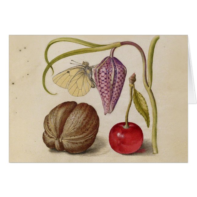 Fleur de noix de papillon et aquarelle de cerise (Devant horizontal)