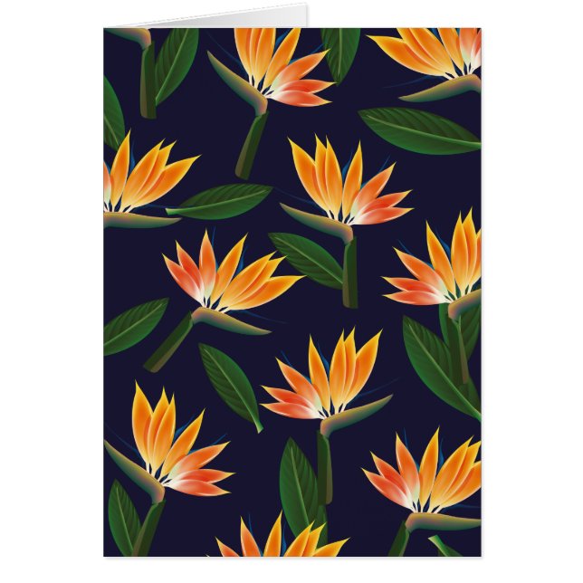 Fleur de paradis oiseau (Devant)