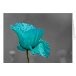 Fleur de pavot de turquoise