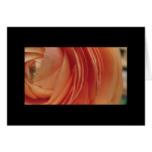 Fleur de pêche