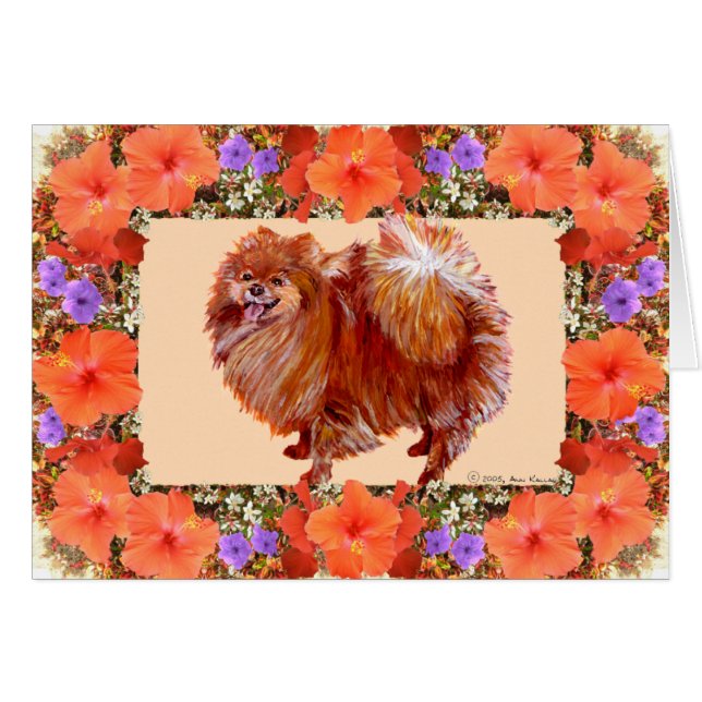 Fleur de Poméranie (Devant horizontal)