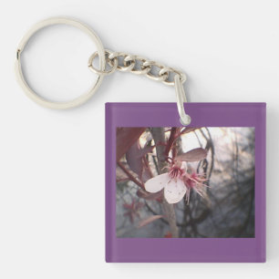 Fleur de prune violette