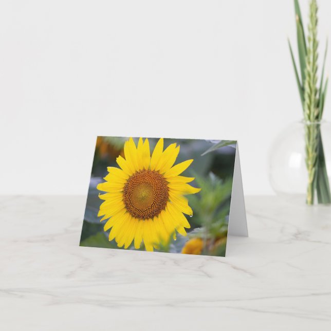 Fleur de soleil brillant plié Carte de remerciemen (Devant)