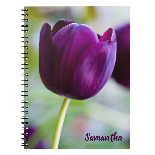 Fleur de tulipe pourpre carnet spiral (Devant)