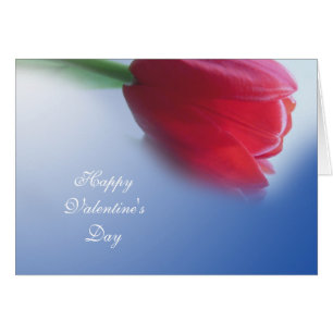 Fleur de tulipe rouge unique