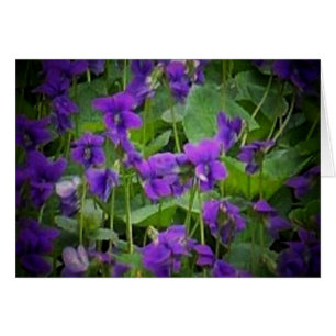 Fleur d'État du Wisconsin : Carte Violet de Bois