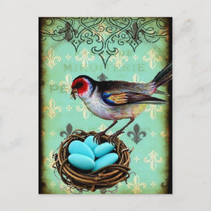 Fleur Di Lis Vogelnest Shabby Chic Postkarte
