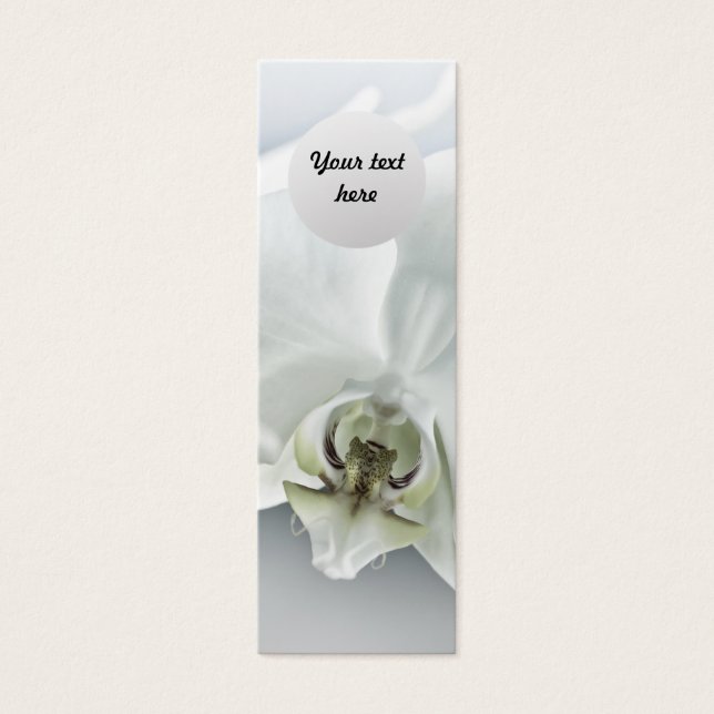 Fleur d'orchidée blanche (Devant)