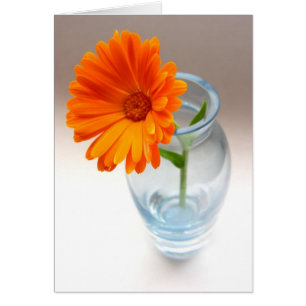 Fleur et Vase