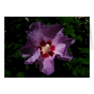 fleur finlandaise-Hyvää Syntymäpäivää-violet