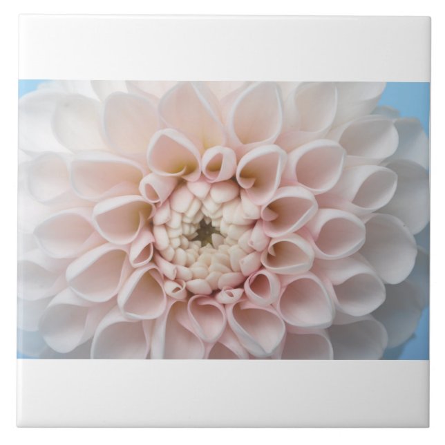 Fleur Fliese (Vorderseite)