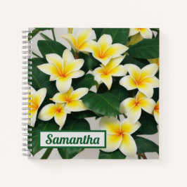 Fleur Frangipani blanche Carnet personnalisé