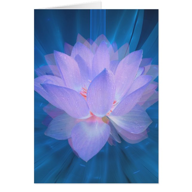 Fleur galaxie (Devant)