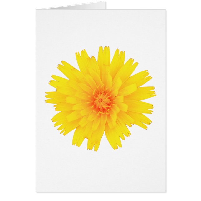 Fleur jaune (Devant)