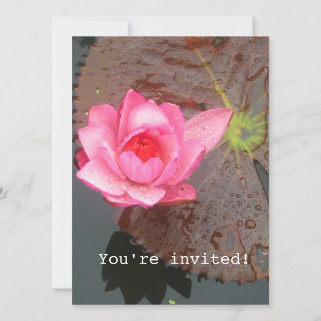 fleur nénuphar rose blanc invitation (Devant)
