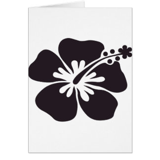 fleur noire de ketmie