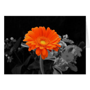 Fleur orange carte-Toute occasion