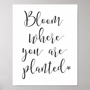 Fleur où vous avez planté Poster