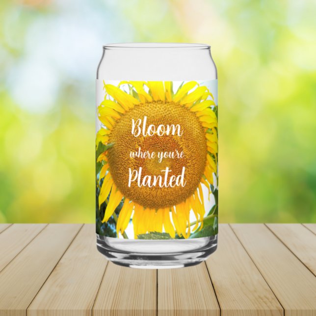 Fleur où vous êtes planté Tournesol Jaune (In Situ)