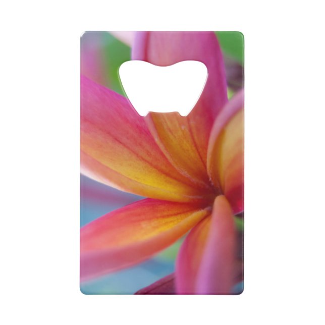 Fleur Plumeria Tropicale Rose Profond Jaune Orange (Devant)