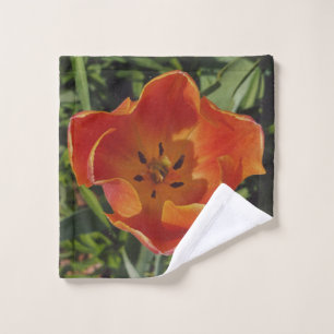 fleur printanière rouge