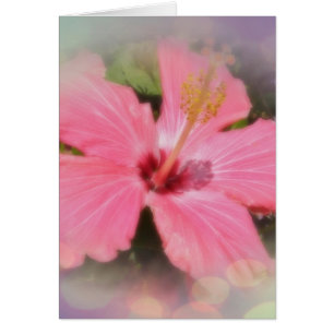 Fleur rose de ketmie