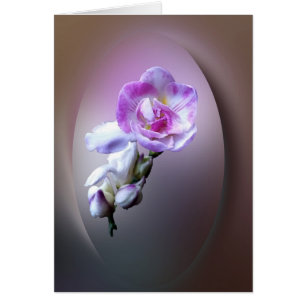 fleur rose frénésie