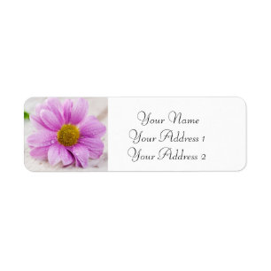 Fleur rose marguerite Étiquettes de adresse person