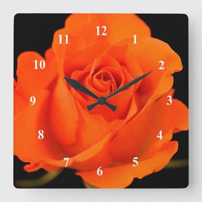 Fleur Rose simple orange Horloge murale acrylique (Recto)