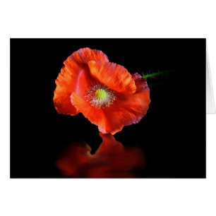 Fleur Rouge