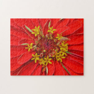Fleur Rouge Profonde Gros Plan Puzzle Floral