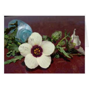 Fleur sauvage à vie morte