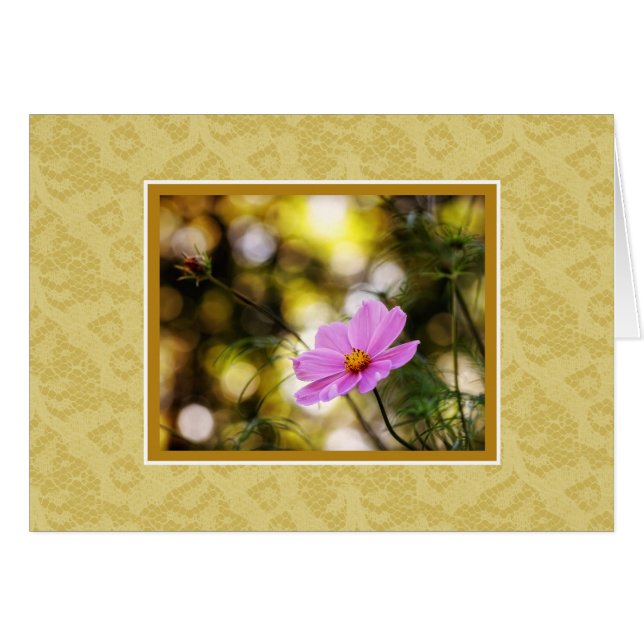 Fleur sauvage Cosmos Twilight (Devant horizontal)